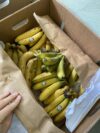 Fotos Bananen-Workshop von Baobab